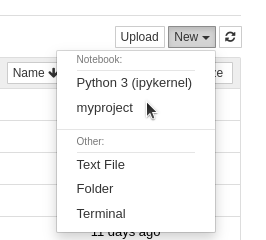 Create new notebook with custom Jupyter kernel