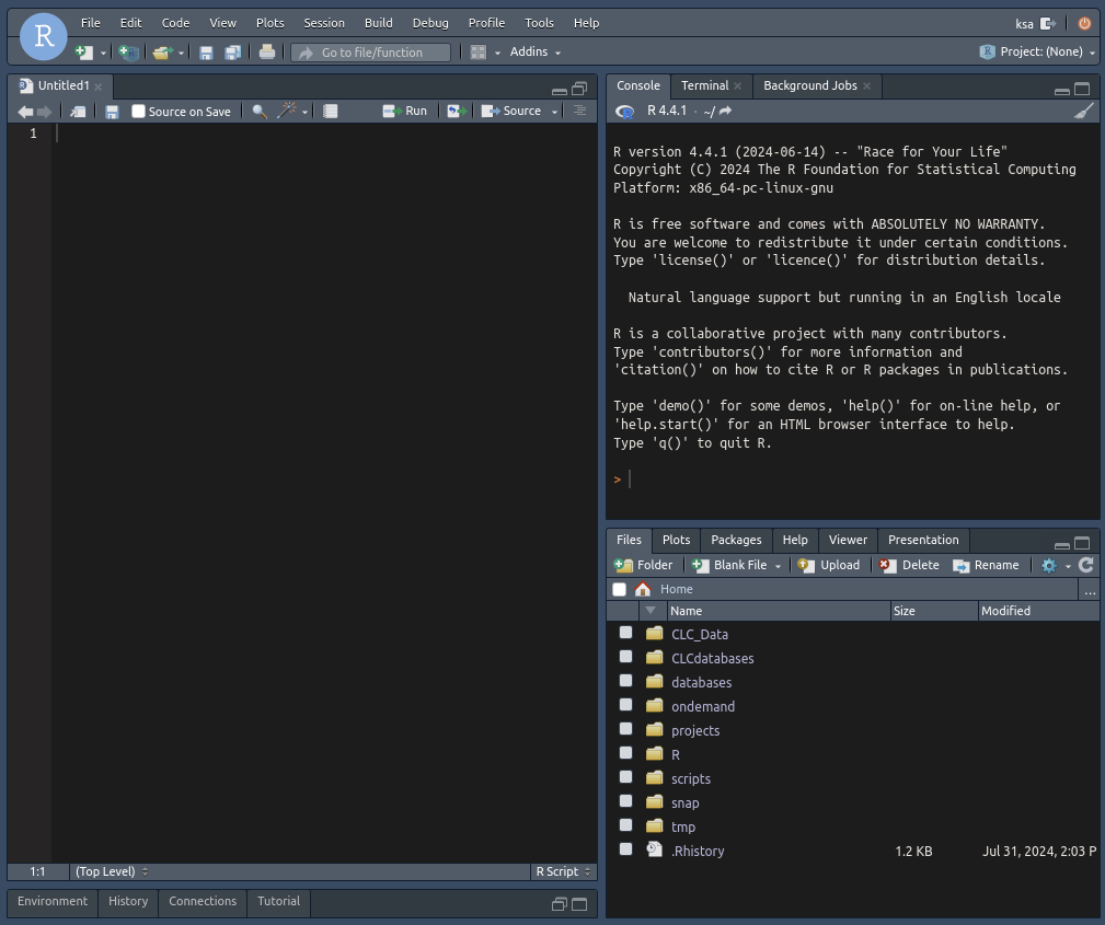 rstudio inside