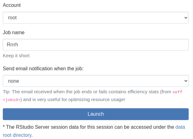 rstudio launch