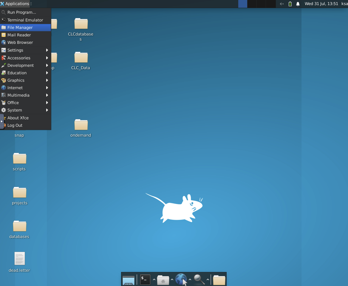 virtual desktop inside